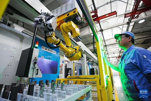 新時代中國調研行之看區域 | 東北智造 以企業網絡技術匯聚振興新動能